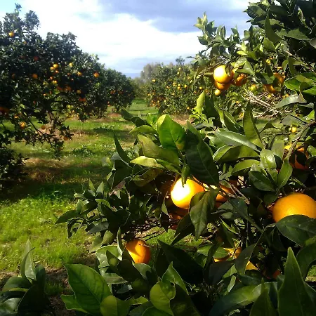 Su Canonigu Agriresort - & Glamping مزرعة للإقامة *