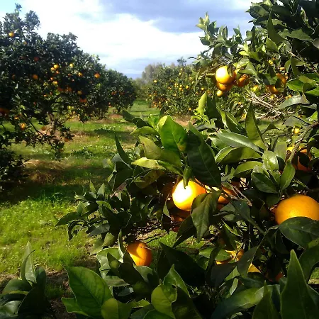 Su Canonigu Agriresort Bauernhof *
