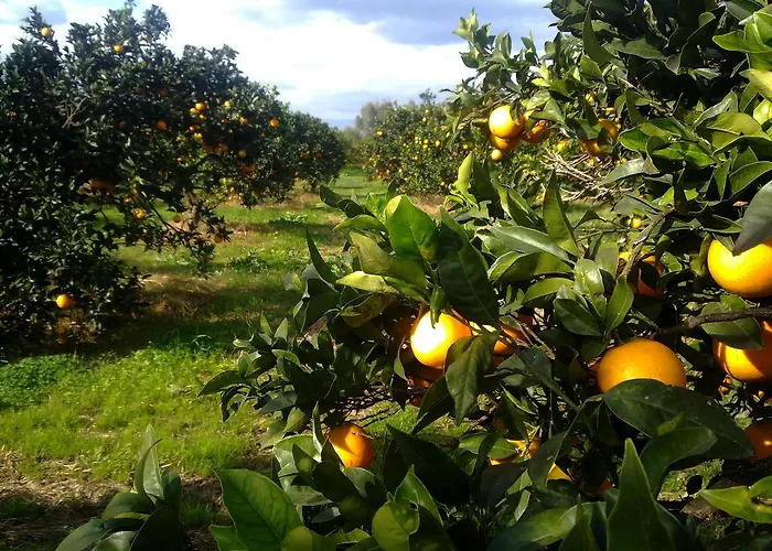 Su Canonigu Agriresort - & Glamping Alloggio per agriturismo *